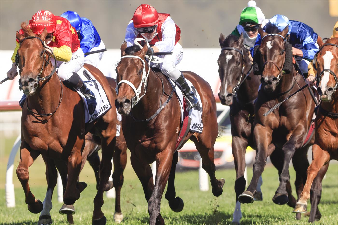 KEMBLA GRANGE, AUSTRALIA - SEPTEMBER 11: Kerrin McEvoy on Giannis wins race 5 the Drinkwise Dulcify Stakes during Sydney Racing at Kembla Grange Racecourse on September 11, 2021 in Kembla Grange, Australia. (Photo by Mark Evans/Getty Images)