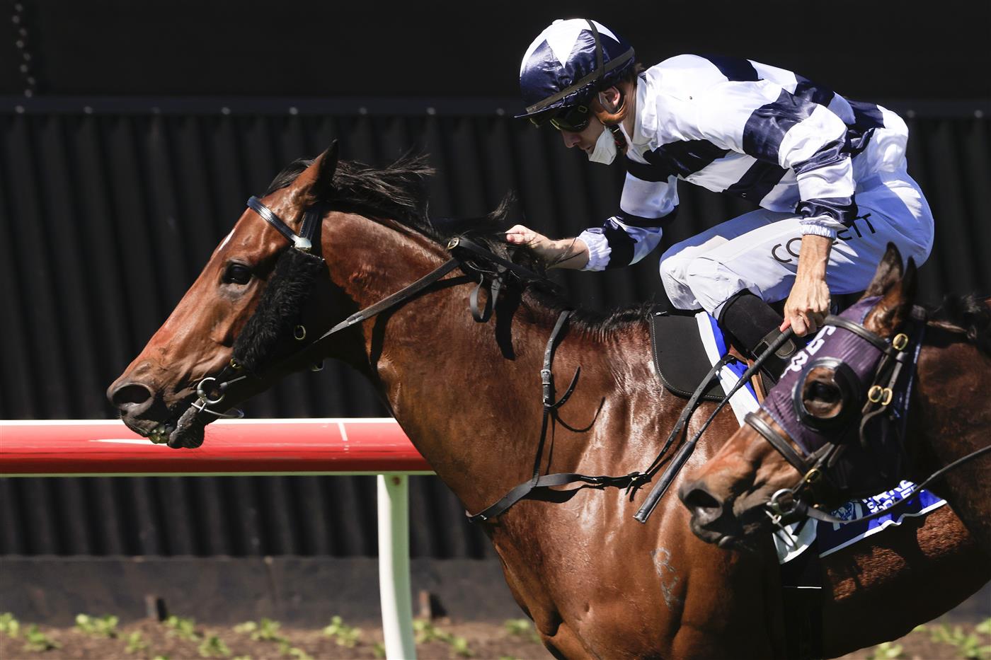 KEMBLA GRANGE, AUSTRALIA - SEPTEMBER 11: Jason Collett on Dalaalaat wins race 4 the Midway Handicap Sydney Racing at Kembla Grange Racecourse on September 11, 2021 in Kembla Grange, Australia. (Photo by Mark Evans/Getty Images)