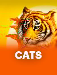Cats Slot