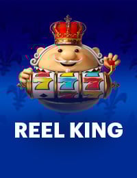 Reel King Slots