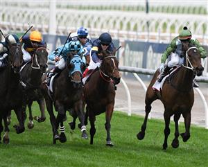 Makybe Diva Stakes Day Highlights