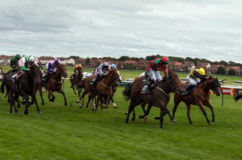 2021 Ayr Gold Cup Tips, Odds, Trends and Predictions.