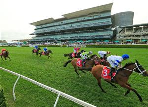 George Main Stakes Preview, Betting Tips & Predictions