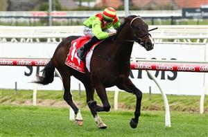 Sir Rupert Clarke Stakes Live Stream - Watch live racing from Caulfield