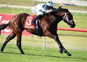 Ben Allen Jockey Markets