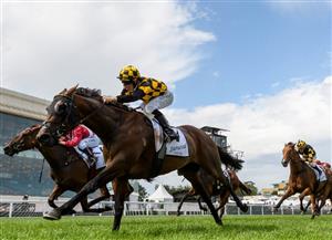 Big Saturday Bets for September 18