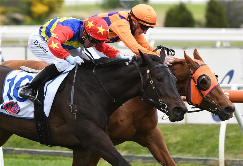 MELBOURNE, AUSTRALIA - SEPTEMBER 18: Daniel Moor riding Dirty Thoughts defeats Matthew Cartwright riding The Gauch in Race 1, the PFD Food Services for NJT Hcp, during Melbourne Racing at Caulfield Racecourse on September 18, 2021 in Melbourne, Australia. (Photo by Vince Caligiuri/Getty Images)