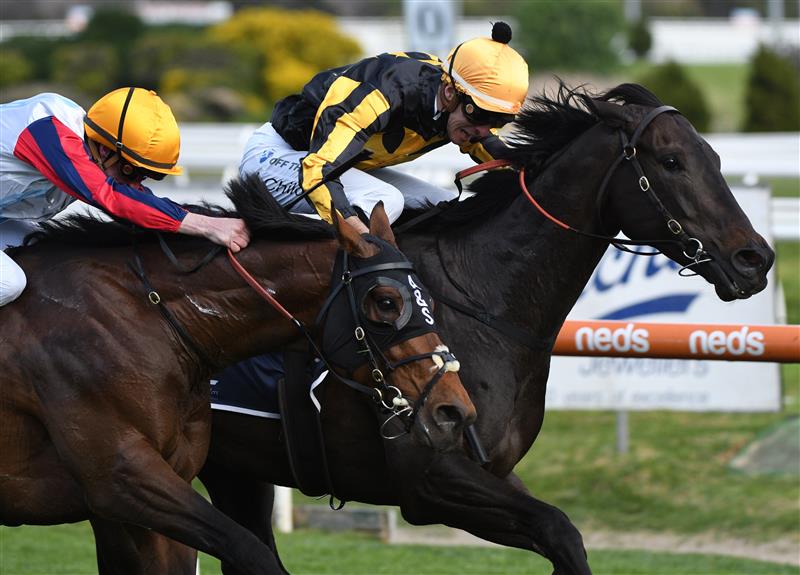 MELBOURNE, AUSTRALIA - SEPTEMBER 18: Jordan Childs riding Nonconformist defeats John Allen riding Delphi (L) in Race 7, the Catanach's Jewellers MRC Foundation Cup during Melbourne Racing at Caulfield Racecourse on September 18, 2021 in Melbourne, Australia. (Getty)