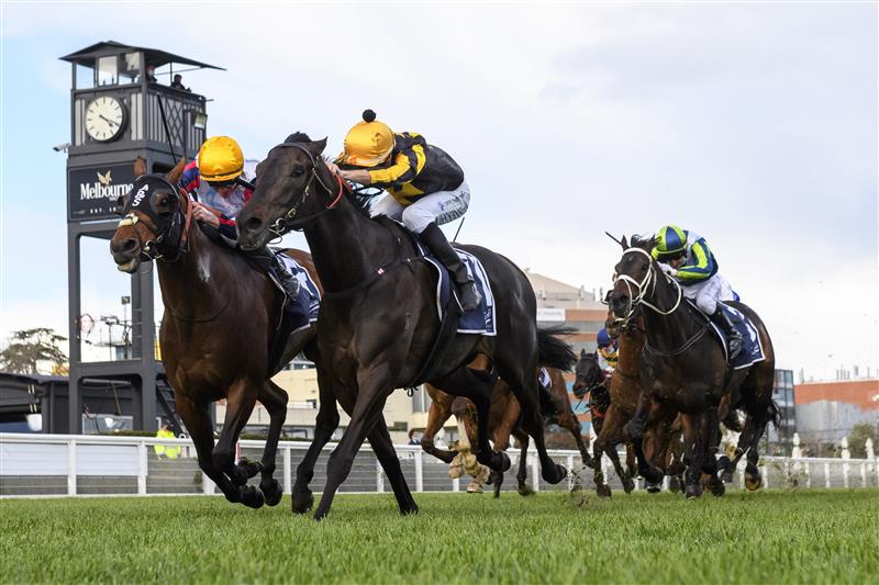 MELBOURNE, AUSTRALIA - SEPTEMBER 18: Jordan Childs riding Nonconformist defeats John Allen riding Delphi (L) in Race 7, the Catanach's Jewellers MRC Foundation Cup during Melbourne Racing at Caulfield Racecourse on September 18, 2021 in Melbourne, Australia. (Getty)