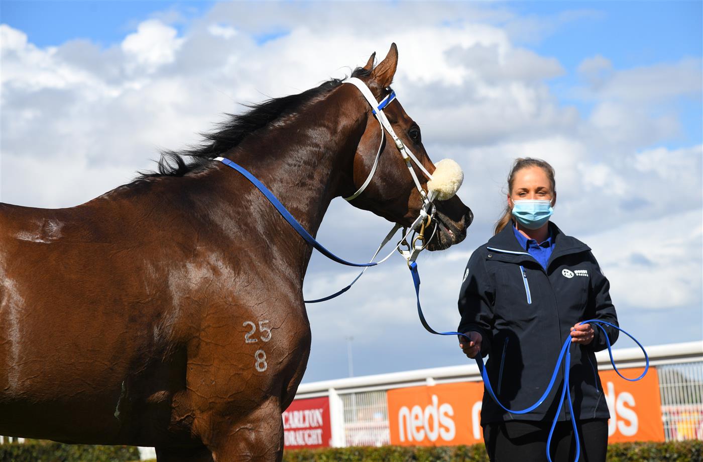 MELBOURNE, AUSTRALIA - SEPTEMBER 18: Lightsaber after winning Race 4, the Neds Caulfield Guineas Prelude, during Melbourne Racing at Caulfield Racecourse on September 18, 2021 in Melbourne, Australia. (Photo by Vince Caligiuri/Getty Images)