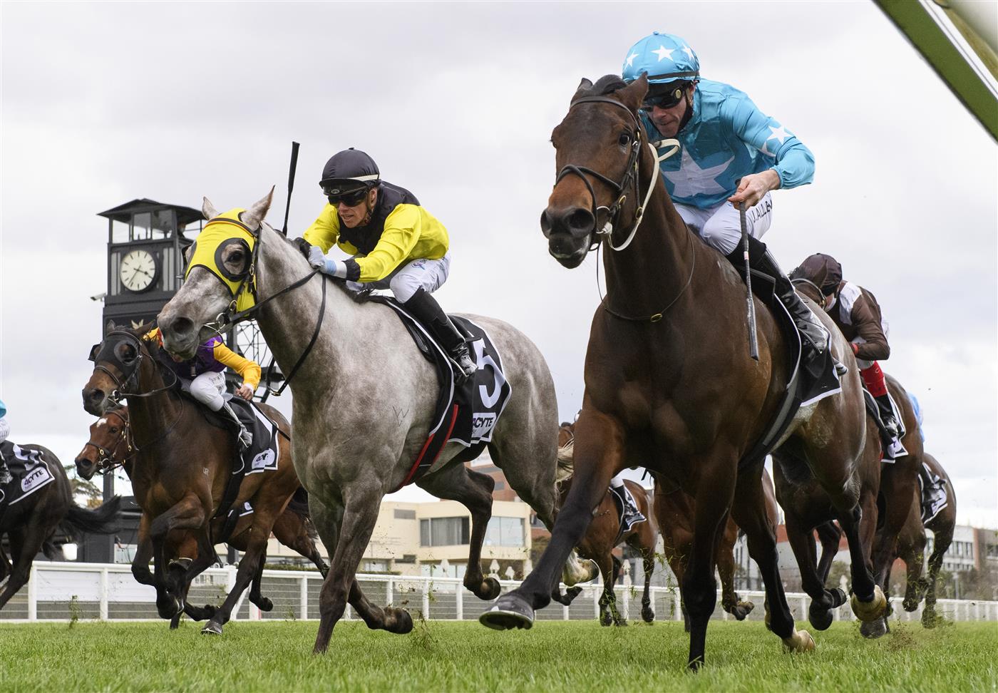 MELBOURNE, AUSTRALIA - SEPTEMBER 18: John Allen riding Annavisto winning race 6, the 4cyte For Living Legends Handicap, during Melbourne Racing at Caulfield Racecourse on September 18, 2021 in Melbourne, Australia. (Photo by Vince Caligiuri/Getty Images)
