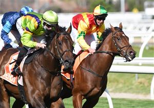 MELBOURNE, AUSTRALIA - SEPTEMBER 18: Damian Lane riding General Beau winning  race 5,  the Pinchapoo Plate, during Melbourne Racing at Caulfield Racecourse on September 18, 2021 in Melbourne, Australia. (Photo by Vince Caligiuri/Getty Images)