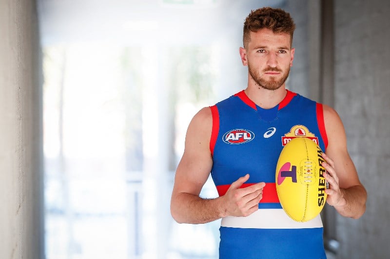 western bulldogs