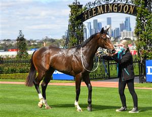 MELBOURNE, AUSTRALIA - SEPTEMBER 22: Cavalla after winninng Race 2, the Darley Spring Preview, during Melbourne Racing at Flemington Racecourse on September 22, 2021 in Melbourne, Australia. (Photo by Vince Caligiuri/Getty Images)