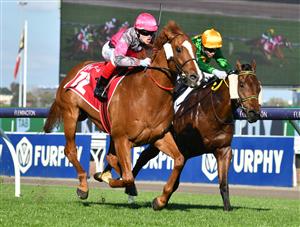MELBOURNE, AUSTRALIA - SEPTEMBER 22: Craig Williams riding Gundec winning race 6, the Penfolds Victoria Derby Preview, during Melbourne Racing at Flemington Racecourse on September 22, 2021 in Melbourne, Australia. (Photo by Vince Caligiuri/Getty Images)