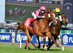 MELBOURNE, AUSTRALIA - SEPTEMBER 22: Craig Williams riding Gundec winning race 6, the Penfolds Victoria Derby Preview, during Melbourne Racing at Flemington Racecourse on September 22, 2021 in Melbourne, Australia. (Photo by Vince Caligiuri/Getty Images)