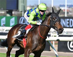 MELBOURNE, AUSTRALIA - SEPTEMBER 22: Craig Williams riding Barb Raider winning race 5, the Kennedy Oaks Preview, during Melbourne Racing at Flemington Racecourse on September 22, 2021 in Melbourne, Australia. (Photo by Vince Caligiuri/Getty Images)