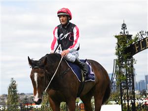 MELBOURNE, AUSTRALIA - SEPTEMBER 22: Damien Oliver riding after riding New York Baby to win Race 1, the Rokon Sprint, during Melbourne Racing at Flemington Racecourse on September 22, 2021 in Melbourne, Australia. (Photo by Vince Caligiuri/Getty Images)