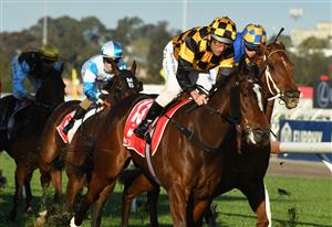 MELBOURNE, AUSTRALIA - SEPTEMBER 22: Damien Oliver riding Excelida winning Race 8, the Mitty's Trophy, during Melbourne Racing at Flemington Racecourse on September 22, 2021 in Melbourne, Australia. (Photo by Vince Caligiuri/Getty Images)