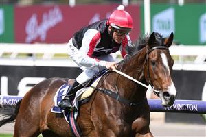 MELBOURNE, AUSTRALIA - SEPTEMBER 22: Damien Oliver riding New York Baby winning Race 1, the Rokon Sprint, during Melbourne Racing at Flemington Racecourse on September 22, 2021 in Melbourne, Australia. (Photo by Vince Caligiuri/Getty Images)