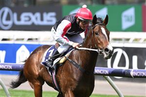 MELBOURNE, AUSTRALIA - SEPTEMBER 22: Damien Oliver riding New York Baby winning Race 1, the Rokon Sprint, during Melbourne Racing at Flemington Racecourse on September 22, 2021 in Melbourne, Australia. (Photo by Vince Caligiuri/Getty Images)