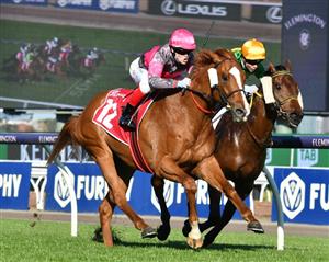Flemington Highlights - September 22