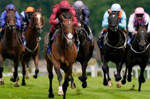 Scoop 6 Tips - Tote's tips for Newmarket and Haydock on September 25th