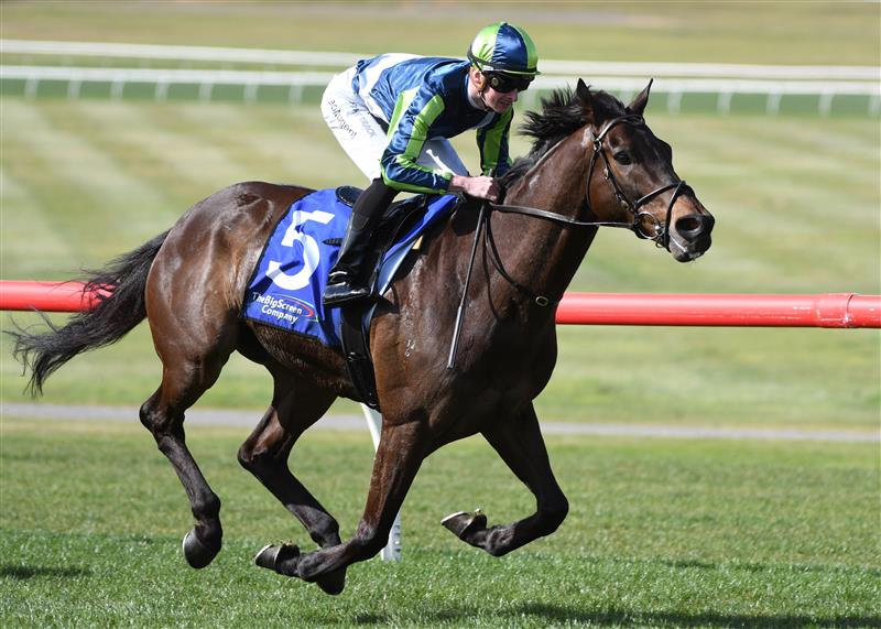 MELBOURNE, AUSTRALIA - SEPTEMBER 25: Teodore Nugent riding Floating Artist winning race 6, the The Big Screen Company Handicap, during Melbourne Racing at Sandown Racecourse on September 25, 2021 in Melbourne, Australia. (Photo by Vince Caligiuri/Getty Images)