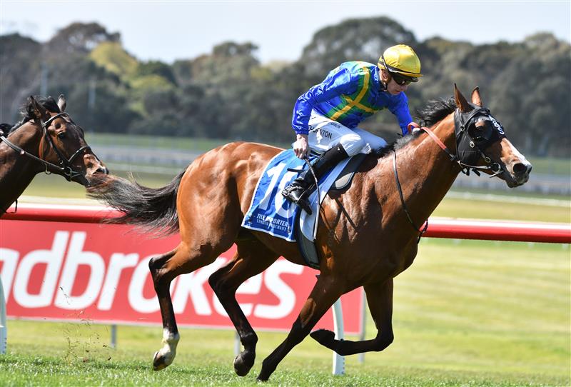 MELBOURNE, AUSTRALIA - SEPTEMBER 25: Damien Thornton riding Extreme Flight winning Race 3, the Tile Importer Handicap,  during Melbourne Racing at Sandown Racecourse on September 25, 2021 in Melbourne, Australia. (Photo by Vince Caligiuri/Getty Images)