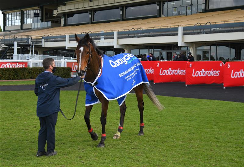MELBOURNE, AUSTRALIA - SEPTEMBER 25: Zaaki after winning Race 7, the Quayclean Underwood Stakes,  during Melbourne Racing at Sandown Racecourse on September 25, 2021 in Melbourne, Australia. (Photo by Vince Caligiuri/Getty Images)