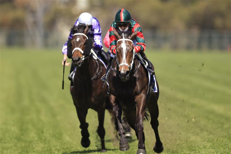 SYDNEY, AUSTRALIA - SEPTEMBER 25: Jason Collett on Yiyi wins race 1 the Precise Air Handicap during Sydney Racing on Golden Rose Day at Rosehill Gardens on September 25, 2021 in Sydney, Australia. (Photo by Mark Evans/Getty Images)