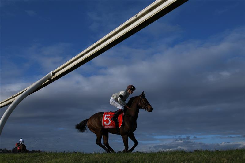 MELBOURNE, AUSTRALIA - SEPTEMBER 25: Fred Kersley riding Khoekhoe to the start of Race 9, the Evergreen Turf Handicap, during Melbourne Racing at Sandown Racecourse on September 25, 2021 in Melbourne, Australia. (Photo by Vince Caligiuri/Getty Images)
