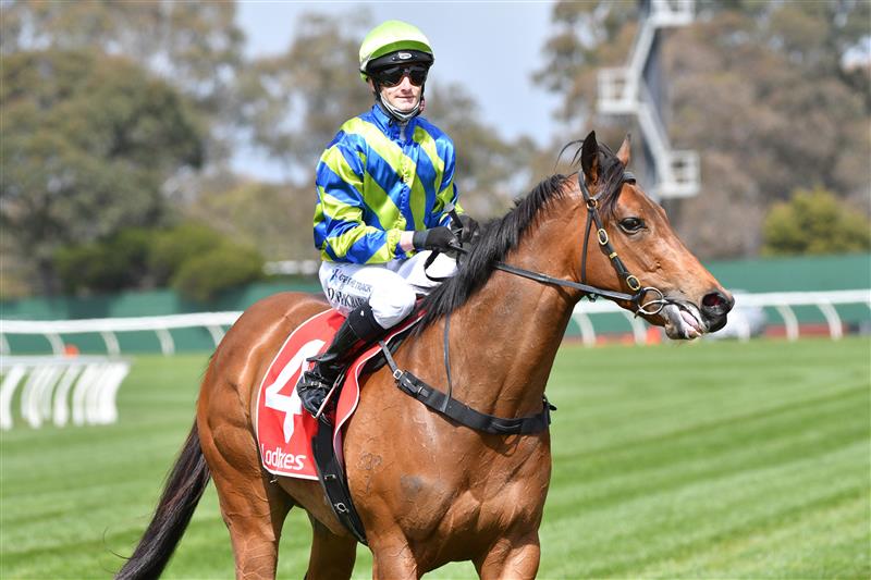 MELBOURNE, AUSTRALIA - SEPTEMBER 25: Josh Richards riding Esta La Roca after winning Race 1, the Tobin Brothers Celebrating Lives, during Melbourne Racing at Sandown Racecourse on September 25, 2021 in Melbourne, Australia. (Photo by Vince Caligiuri/Getty Images)