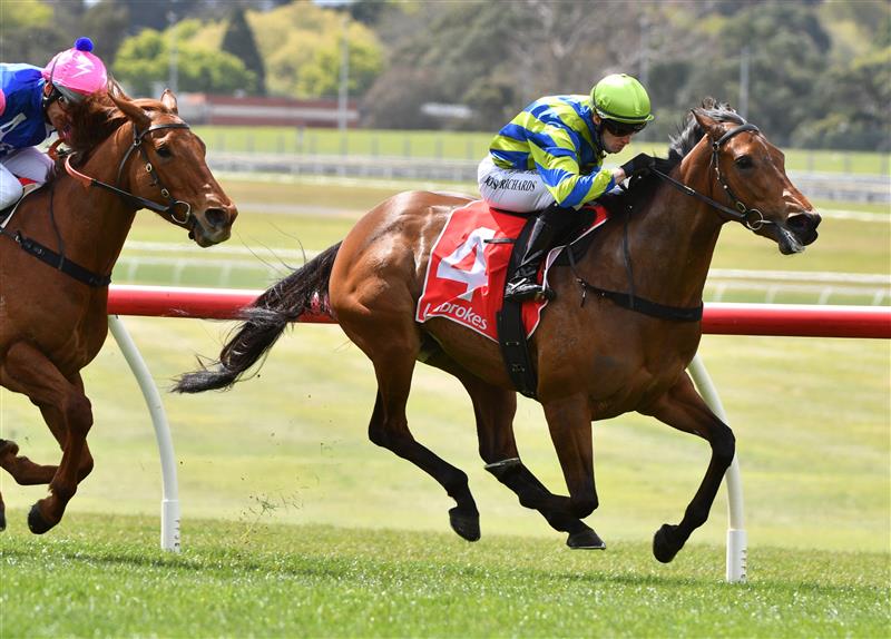 MELBOURNE, AUSTRALIA - SEPTEMBER 25: Josh Richards riding Esta La Roca winning Race 1, the Tobin Brothers Celebrating Lives, during Melbourne Racing at Sandown Racecourse on September 25, 2021 in Melbourne, Australia. (Photo by Vince Caligiuri/Getty Images)