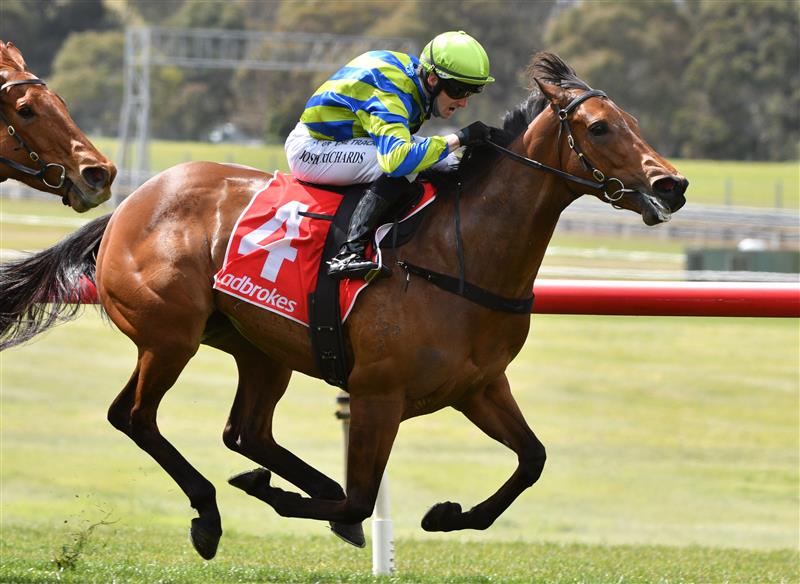 MELBOURNE, AUSTRALIA - SEPTEMBER 25: Josh Richards riding Esta La Roca winning Race 1, the Tobin Brothers Celebrating Lives, during Melbourne Racing at Sandown Racecourse on September 25, 2021 in Melbourne, Australia. (Photo by Vince Caligiuri/Getty Images)