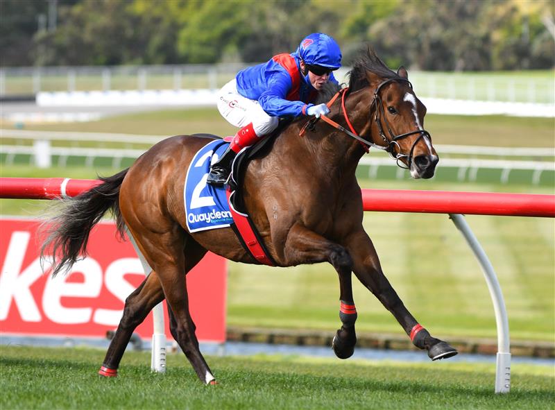 MELBOURNE, AUSTRALIA - SEPTEMBER 25: Craig Williams riding Zaaki winning Race 7, the Quayclean Underwood Stakes,  during Melbourne Racing at Sandown Racecourse on September 25, 2021 in Melbourne, Australia. (Photo by Vince Caligiuri/Getty Images)