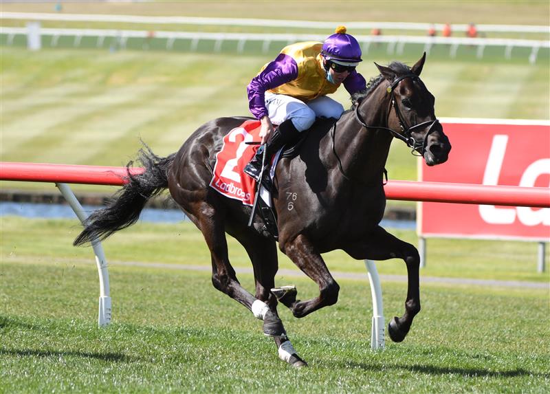 MELBOURNE, AUSTRALIA - SEPTEMBER 25: Damian Lane riding Elephant winning race 5, the Ladbrokes Sandown Stakes, during Melbourne Racing at Sandown Racecourse on September 25, 2021 in Melbourne, Australia. (Photo by Vince Caligiuri/Getty Images)