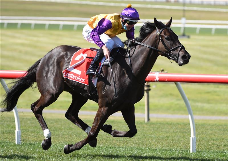 MELBOURNE, AUSTRALIA - SEPTEMBER 25: Damian Lane riding Elephant winning race 5, the Ladbrokes Sandown Stakes, during Melbourne Racing at Sandown Racecourse on September 25, 2021 in Melbourne, Australia. (Photo by Vince Caligiuri/Getty Images)