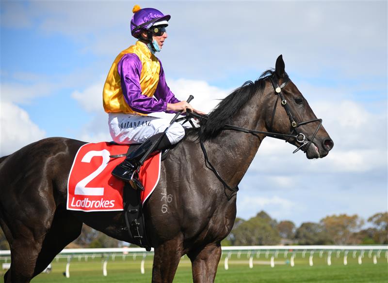 MELBOURNE, AUSTRALIA - SEPTEMBER 25: Damian Lane riding Elephant winning  race 5,  the Ladbrokes Sandown Stakes, during Melbourne Racing at Sandown Racecourse on September 25, 2021 in Melbourne, Australia. (Photo by Vince Caligiuri/Getty Images)