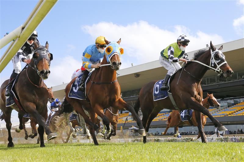 SYDNEY, AUSTRALIA - SEPTEMBER 25: Glyn Schofield on Yonkers (R), wins race 6 the Ned Whisky Shannon Stakes during Sydney Racing on Golden Rose Day at Rosehill Gardens on September 25, 2021 in Sydney, Australia. (Photo by Mark Evans/Getty Images)