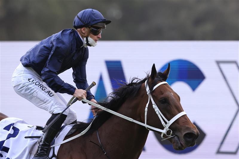 SYDNEY, AUSTRALIA - SEPTEMBER 25: James McDonald on Head Of State returns to scale after winning race 9 the ACY Securities Gloaming Stakes during Sydney Racing on Golden Rose Day at Rosehill Gardens on September 25, 2021 in Sydney, Australia. (Photo by Mark Evans/Getty Images)