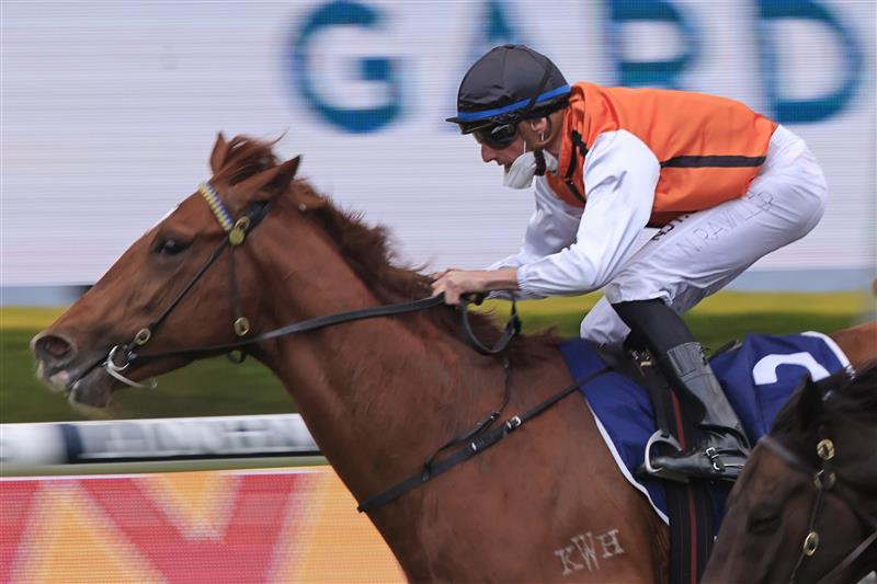 SYDNEY, AUSTRALIA - SEPTEMBER 25: Nash Rawiller on Ellsberg wins race 10 the Elite Sand & Soil Handicap  during Sydney Racing on Golden Rose Day at Rosehill Gardens on September 25, 2021 in Sydney, Australia. (Photo by Mark Evans/Getty Images)