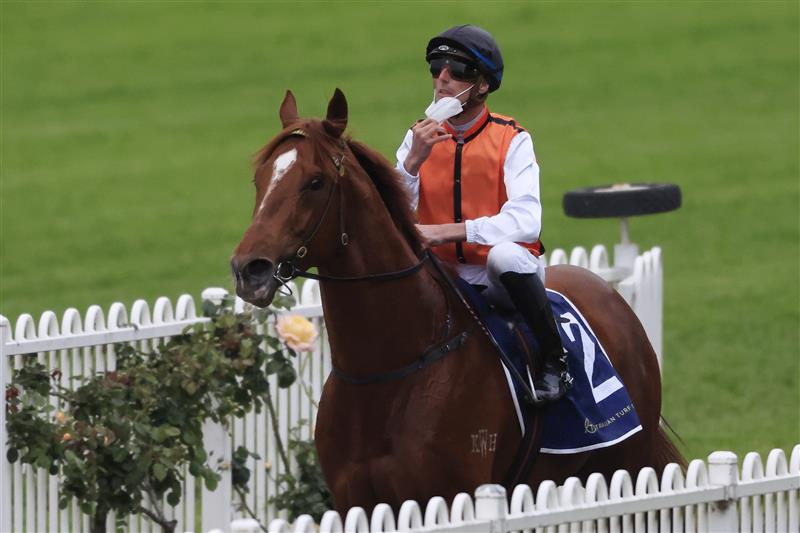 SYDNEY, AUSTRALIA - SEPTEMBER 25: Nash Rawiller on Ellsberg returns to scale after winning  race 10 the Elite Sand & Soil Handicap  during Sydney Racing on Golden Rose Day at Rosehill Gardens on September 25, 2021 in Sydney, Australia. (Photo by Mark Evans/Getty Images)