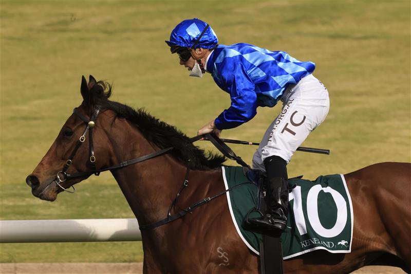 SYDNEY, AUSTRALIA - SEPTEMBER 25: Tim Clark  on Vangelic (royal blue) wins race 7 the Keenland Golden Pendant during Sydney Racing on Golden Rose Day at Rosehill Gardens on September 25, 2021 in Sydney, Australia. (Photo by Mark Evans/Getty Images)