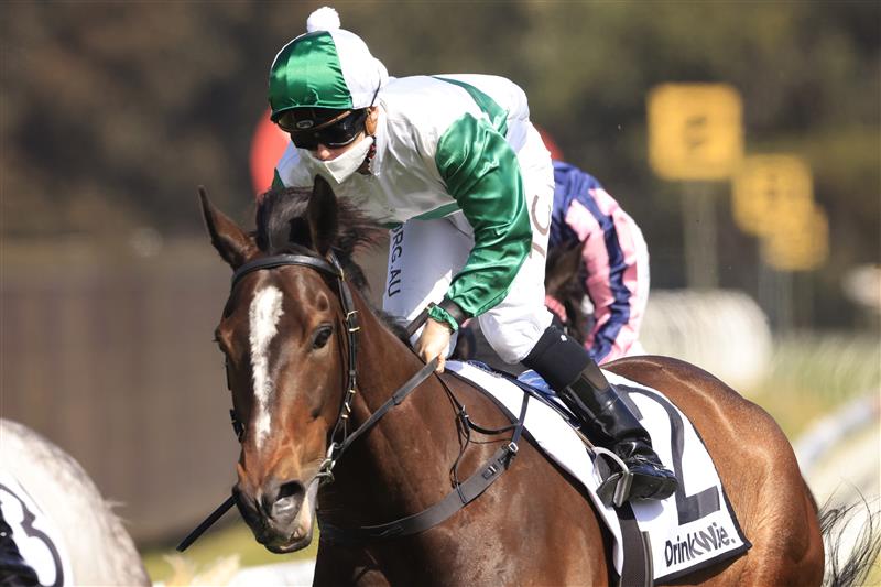 SYDNEY, AUSTRALIA - SEPTEMBER 25: Tim Clark  on Entente (green) wins race 4 the Drinkwise Colin Stephen Quality during Sydney Racing on Golden Rose Day at Rosehill Gardens on September 25, 2021 in Sydney, Australia. (Photo by Mark Evans/Getty Images)