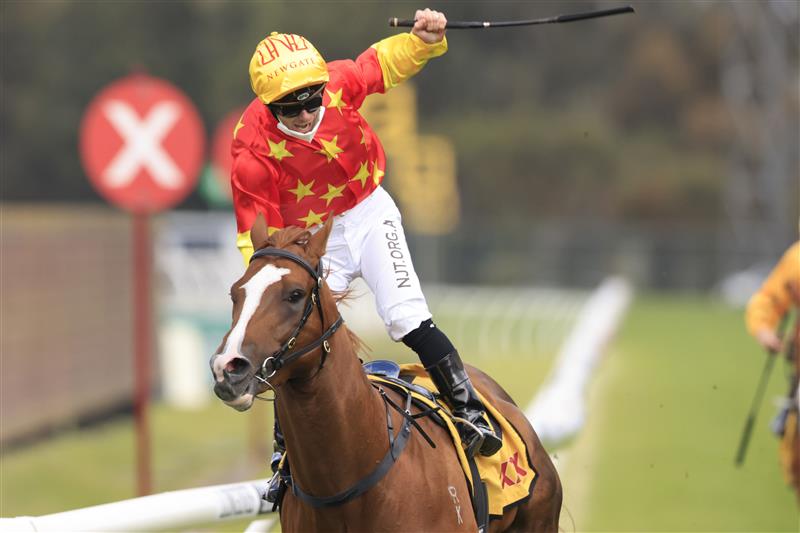 SYDNEY, AUSTRALIA - SEPTEMBER 25: Tim Clark on In The Congo wins race 8 the XXXX Golden Rose during Sydney Racing on Golden Rose Day at Rosehill Gardens on September 25, 2021 in Sydney, Australia. (Photo by Mark Evans/Getty Images)