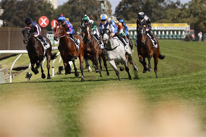 SYDNEY, AUSTRALIA - SEPTEMBER 25: Eventual winner, Tim Clark  on Entente (green) in the first lap of race 4 the Drinkwise Colin Stephen Quality during Sydney Racing on Golden Rose Day at Rosehill Gardens on September 25, 2021 in Sydney, Australia. (Photo by Mark Evans/Getty Images)