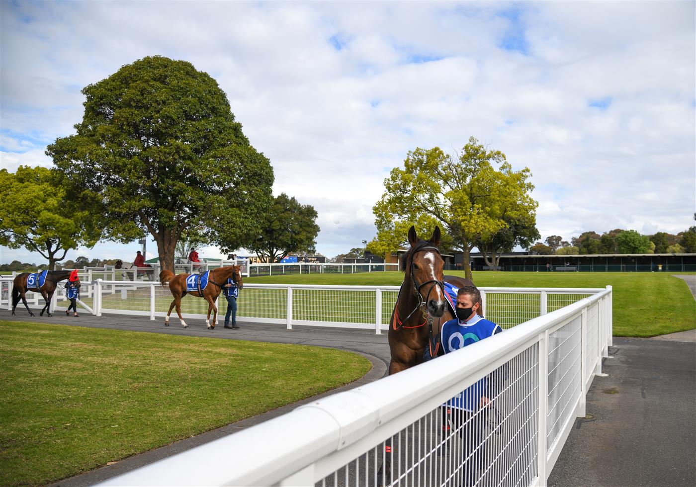 MELBOURNE, AUSTRALIA - SEPTEMBER 25: Zaaki parades before winning Race 7, the Quayclean Underwood Stakes,  during Melbourne Racing at Sandown Racecourse on September 25, 2021 in Melbourne, Australia. (Photo by Vince Caligiuri/Getty Images)