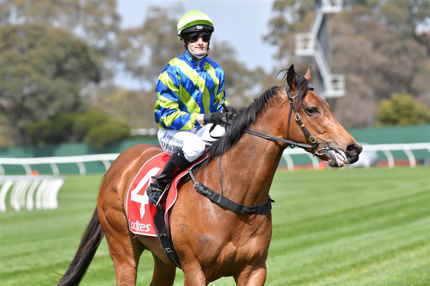 MELBOURNE, AUSTRALIA - SEPTEMBER 25: Josh Richards riding Esta La Roca after winning Race 1, the Tobin Brothers Celebrating Lives, during Melbourne Racing at Sandown Racecourse on September 25, 2021 in Melbourne, Australia. (Photo by Vince Caligiuri/Getty Images)