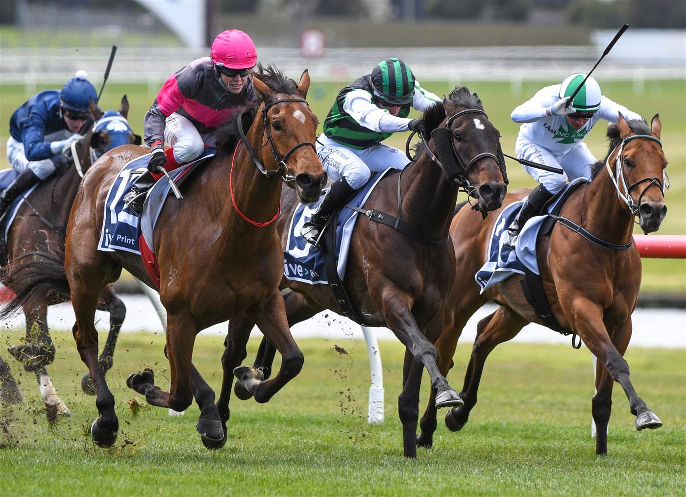 MELBOURNE, AUSTRALIA - SEPTEMBER 25: Craig Williams riding Sirileo Miss winning Race 2, the Ive Print Handicap,  during Melbourne Racing at Sandown Racecourse on September 25, 2021 in Melbourne, Australia. (Photo by Vince Caligiuri/Getty Images)
